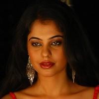 Bindhu Madhavi Hot Photo Shoot Pictures | Picture 93535